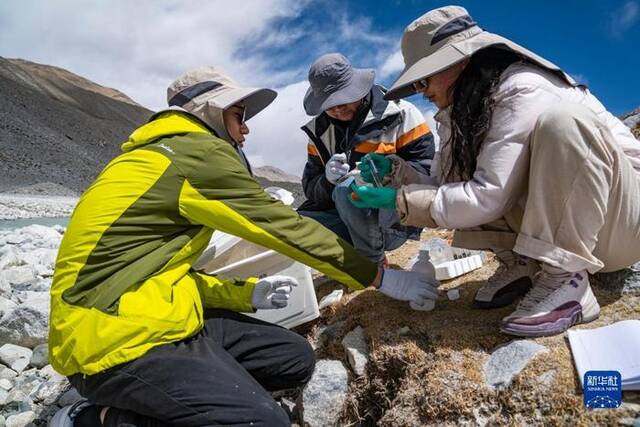 在珠峰登山大本营附近，科考队员收集土壤样本（5月22日摄）。新华社记者孙非摄