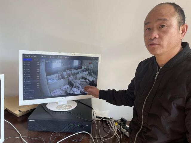 图为2023年2月1日拍摄的何西康通过线上视频监控平台查看猪崽生长情况。新华社记者李惊亚摄