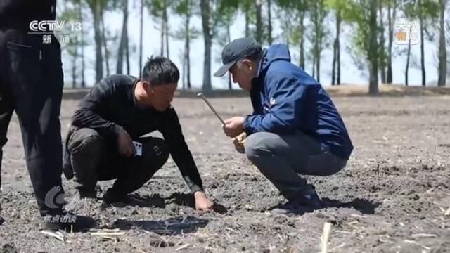 焦点访谈丨多措并举 推动人口高质量发展