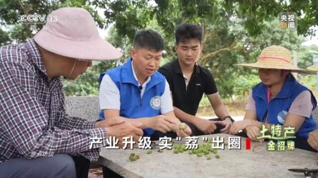 焦点访谈丨产业升级 实“荔”出圈——土特产 金招牌