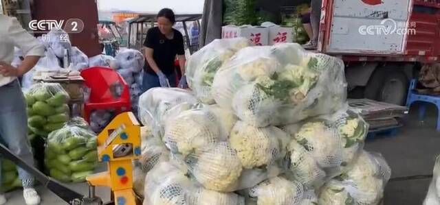 应季蔬菜大量上市 价格出现季节性回落