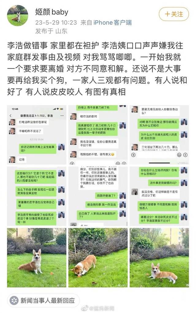 被砍死柯基主人回应：对方要再给我买个狗