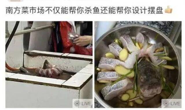 南方的菜场，到底有多“丧心病狂”