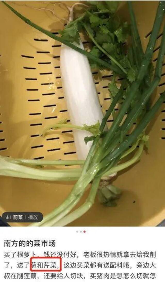 南方的菜场，到底有多“丧心病狂”