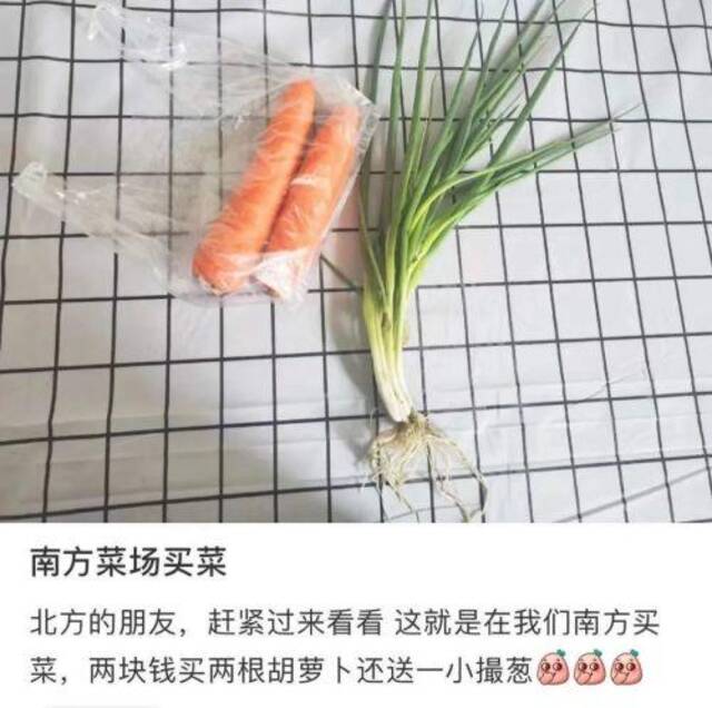 南方的菜场，到底有多“丧心病狂”