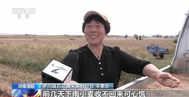 大量农业机械投入麦收 河南洛阳争分夺秒“雨后抢粮”