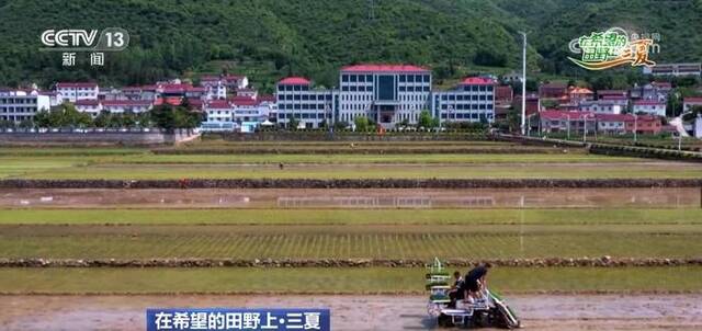 各地分类施策 夏收推进同时 夏种也同步展开