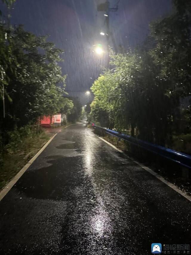 河南“雨口抢粮”记：南阳麦收基本结束，农民无奈接受芽麦