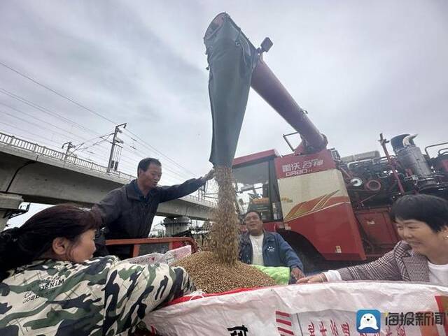 河南“雨口抢粮”记：南阳麦收基本结束，农民无奈接受芽麦