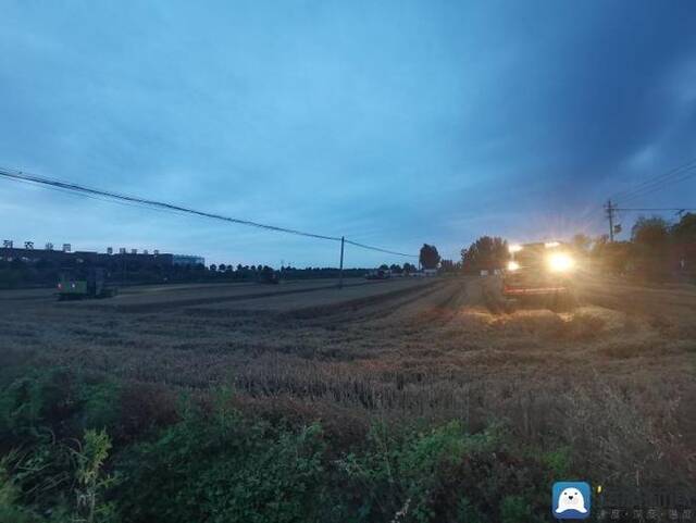 河南“雨口抢粮”记：南阳麦收基本结束，农民无奈接受芽麦