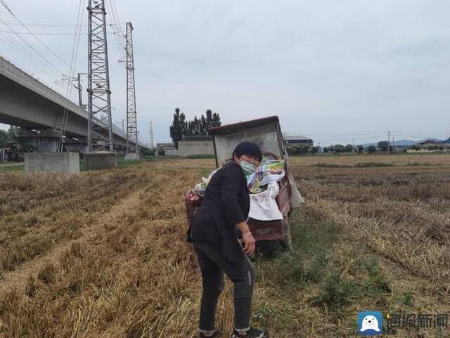 河南“雨口抢粮”记：南阳麦收基本结束，农民无奈接受芽麦