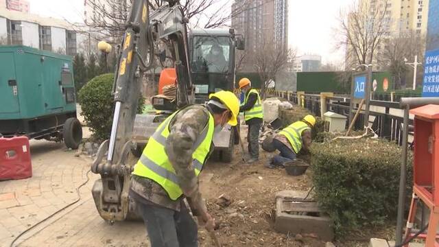 新华全媒+丨生态“筑巢” 北京农展馆后湖成为鸟类乐园