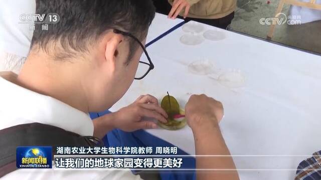 六五环境日 各地开展多种形式活动