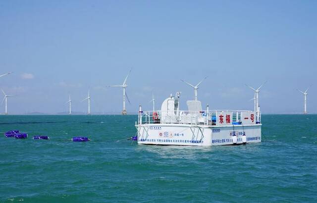 全球首次！海上风电无淡化海水直接电解制氢海试成功