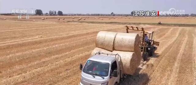 空中俯瞰稻田色彩斑斓 见证壮美好“丰”景