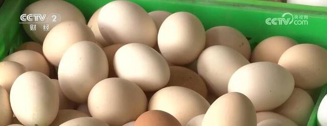 消费转淡供应充足 5月份鸡蛋价格整体下行