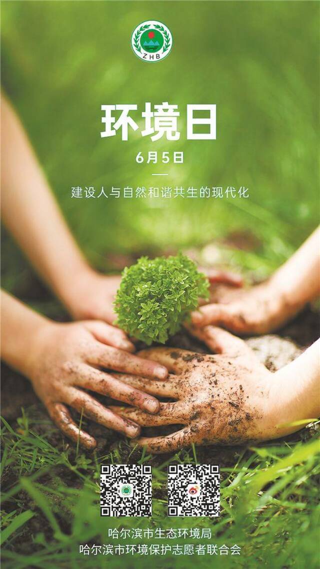 世界环境日宣传海报。