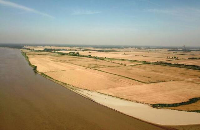2022年6月7日，在山东省菏泽市东明县的黄河沿岸麦田，联合收割机在收割小麦（无人机照片）。