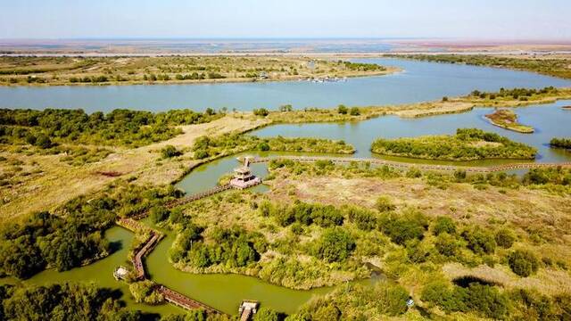 山东黄河三角洲国家级自然保护区景色（无人机照片，2022年10月18日摄）。