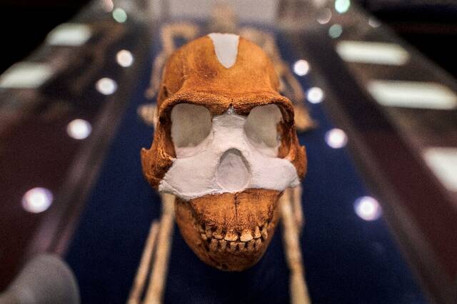古生物学家在南非发现世界上已知最古老的墓地属于20万年的纳莱迪人