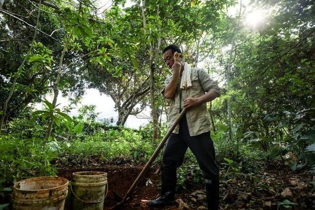 6月2日，在海南东寨港国家级自然保护区的苗圃内，王式军在工作间隙擦拭汗水。新华社记者张丽芸摄