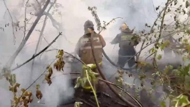 视频截图：火灾救援画面（哈萨克斯坦紧急情况部提供）