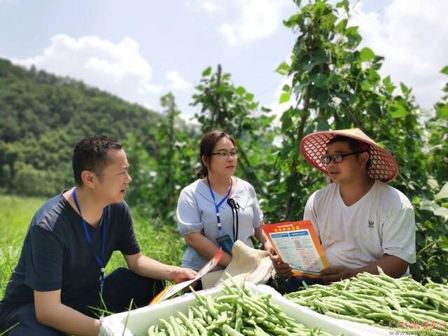 管好用好小微权力