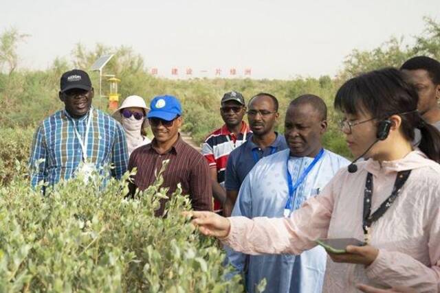 6月13日，在塔克拉玛干沙漠腹地塔中植物园，中方技术人员向非洲学员介绍荒漠植物。新华社记者周生斌摄