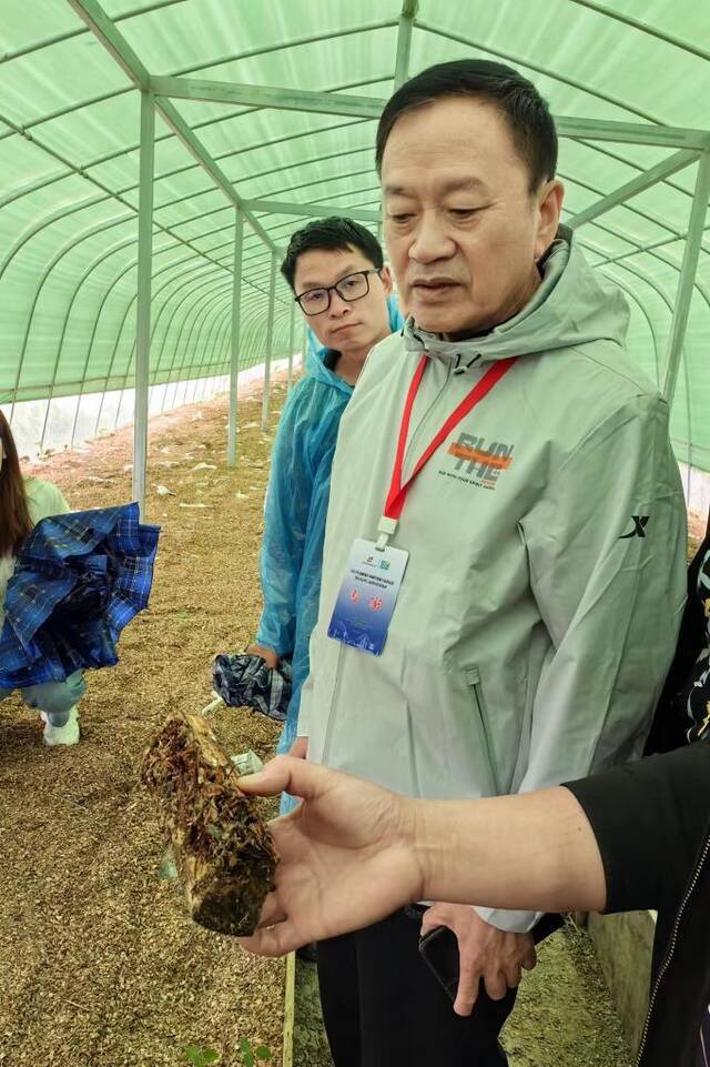郭顺星在乌天麻育种苗圃里现场指导。新华社记者王金涛摄
