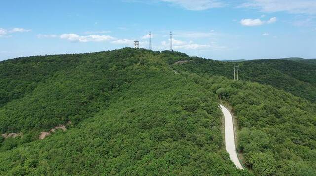 这是子午岭林区蒿咀铺林场一景（6月1日摄，无人机照片）。新华社记者梁军摄