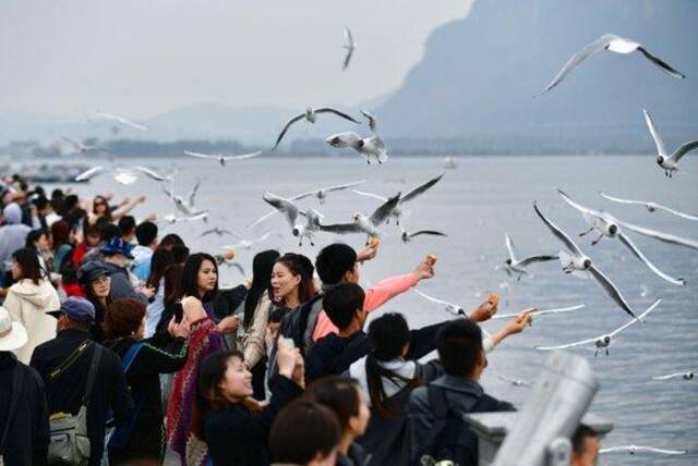 3月12日，游客在昆明海埂大坝喂红嘴鸥。新华社记者陈欣波摄