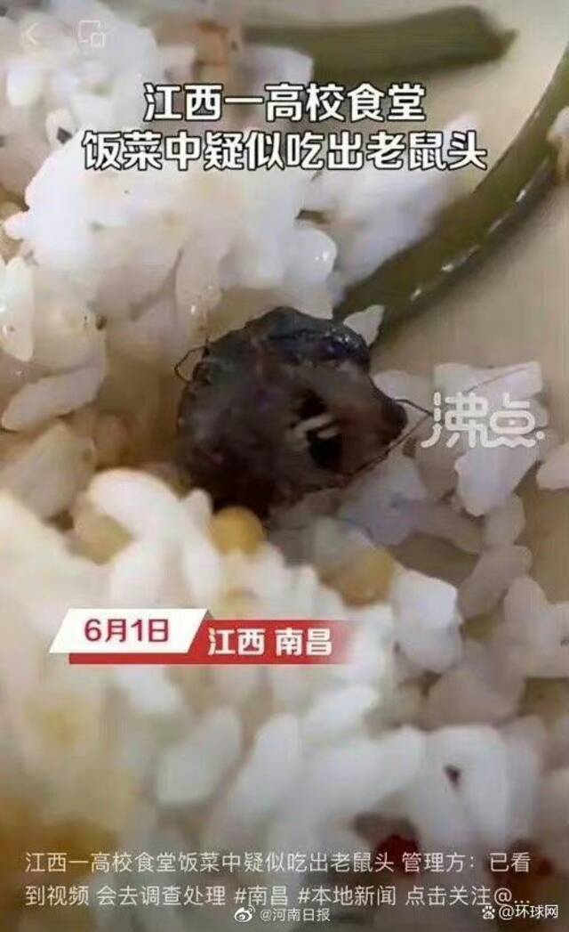 指鼠为鸭原因何在？