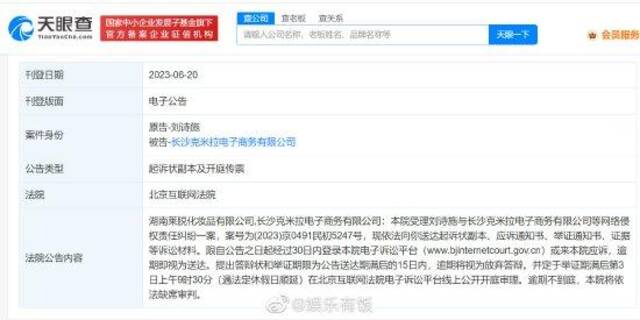 刘诗诗起诉两家公司侵权