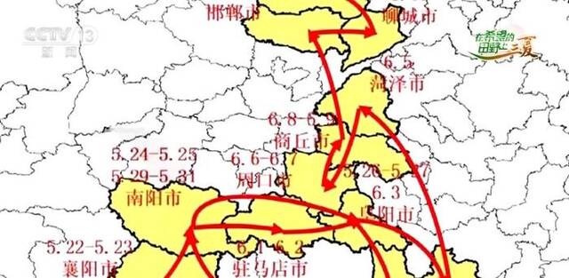 透过数据看今年麦收 难度、速度、温度成为夏收关键词