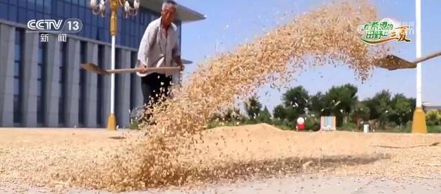 透过数据看今年麦收 难度、速度、温度成为夏收关键词
