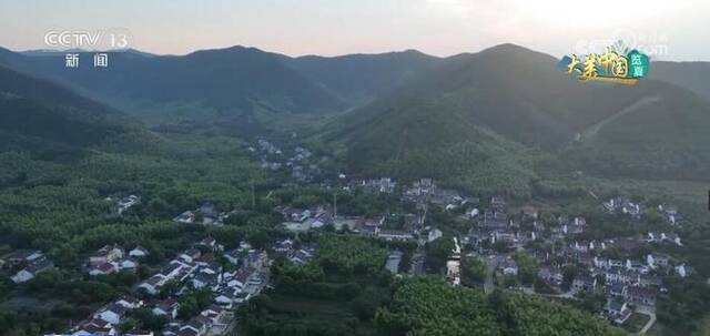 盛夏时节明媚灿烂 各地万物蓬勃好景色