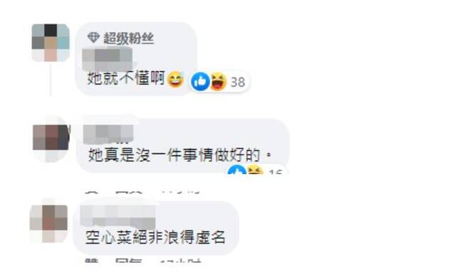 蔡英文被发现挂错军校生军衔肩章，台北市议员讽刺“闹笑话”