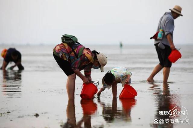 在威海，找到了比“有风小院”更治愈的地方