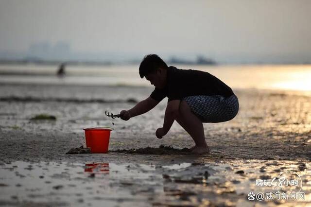 在威海，找到了比“有风小院”更治愈的地方