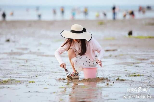 在威海，找到了比“有风小院”更治愈的地方