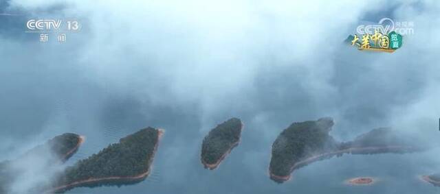 绚丽盛夏万物斑斓 勾勒出华夏大地锦绣画卷