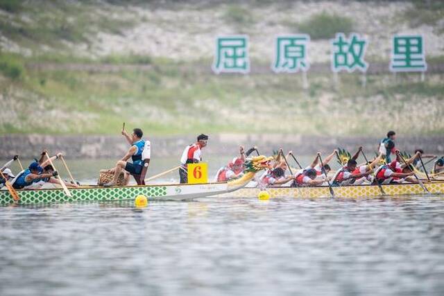 中国粽子和它的海外“小伙伴”