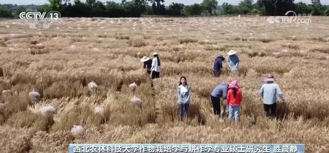 志愿填报，选什么专业？师哥师姐说专业……