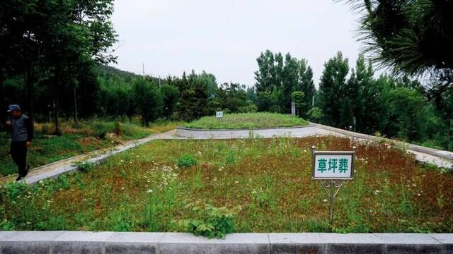 沂水县的公益性公墓设有树葬、花葬、草坪葬等多种形式的生态葬。本文摄影/本刊记者佟西中
