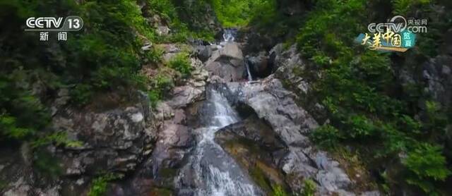 职工转岗就业打造森林旅游经济产业链 绿色转型见成效