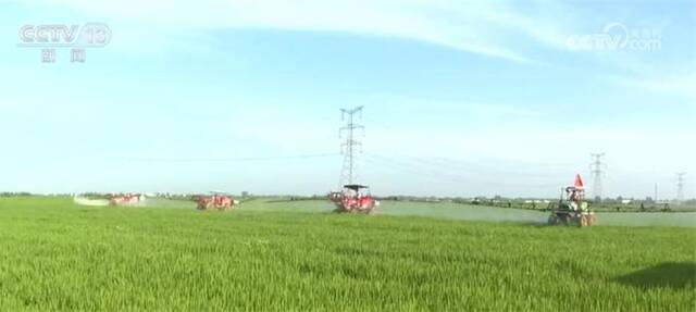 特殊保护永久基本农田 太空视角下的中国大地活力满满