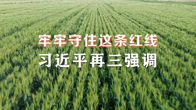 微视频｜牢牢守住这条红线，习近平再三强调