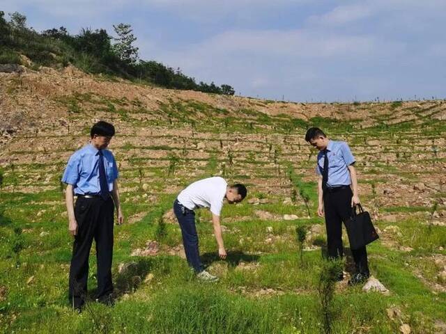 办案人员查看非法采矿点生态修复情况