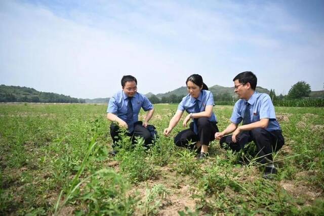 检察官踏勘整改现场