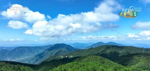 映日荷塘添秀色 大江南北山青水绿好风光